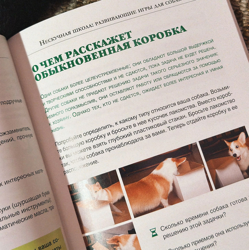 Ольга Кажарская. Нескучная школа. (Развивающие игры для собак)