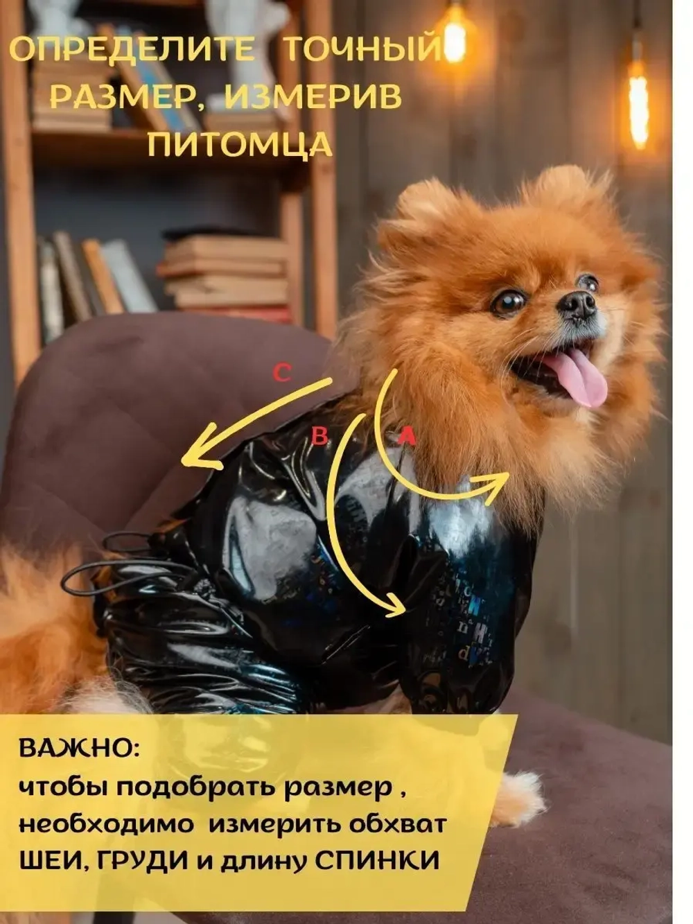 Комбинезон для мелких и средних собак