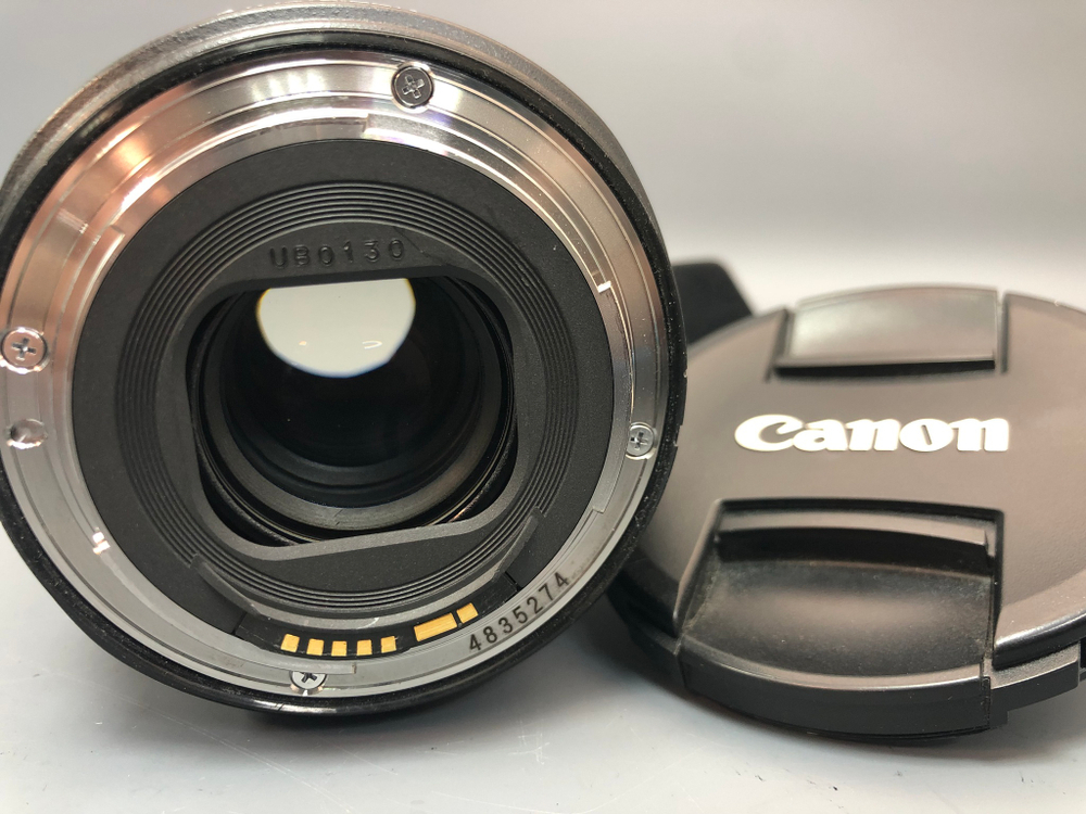 Canon 24-105 4 l is usm