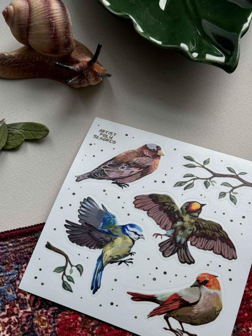 Стикерпак ‘птицы’ 🕊️