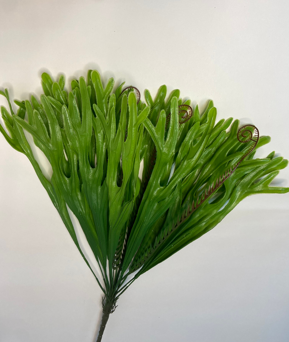 Куст оленьи рожки