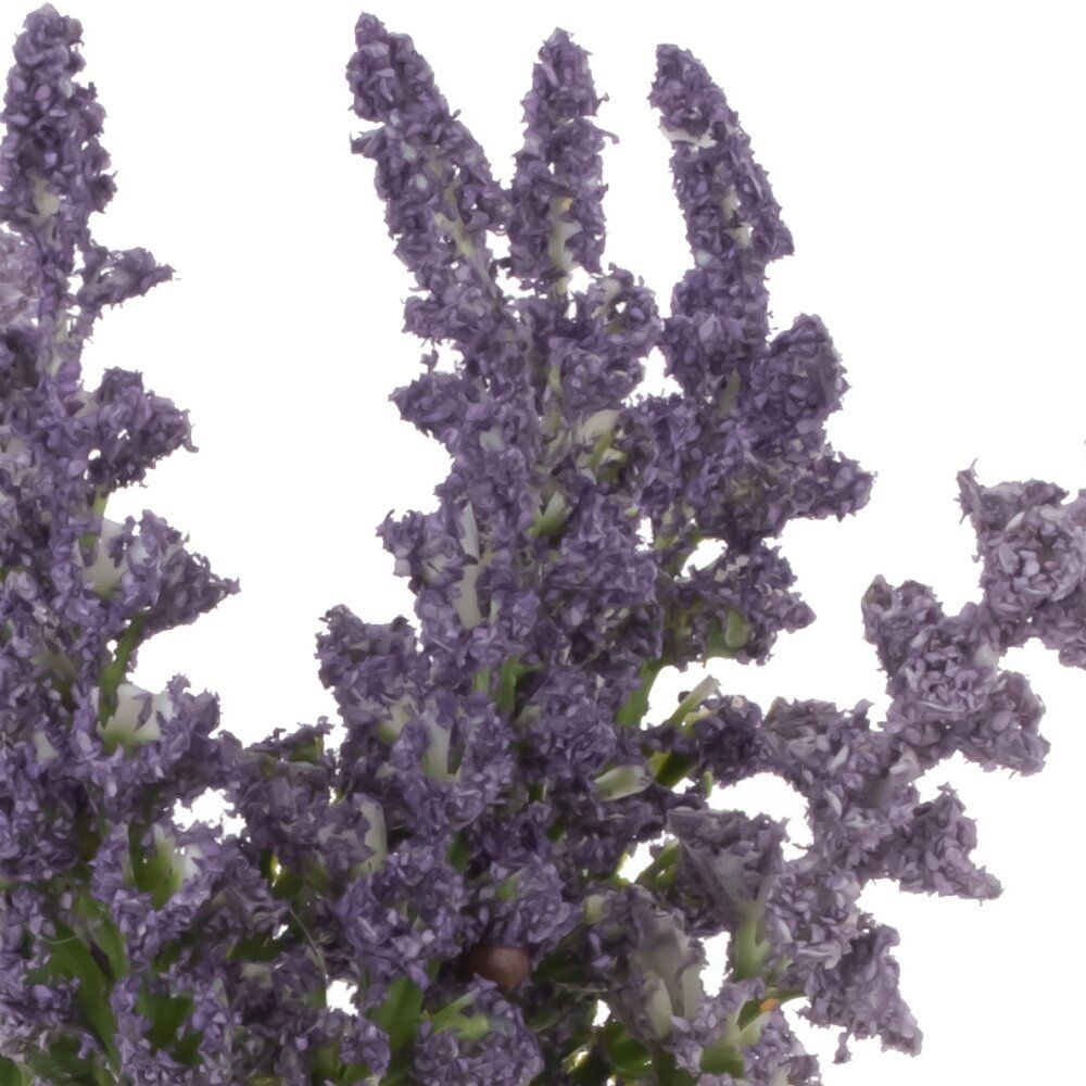 GAEM Цветочная композиция, L8 W8 H22 см