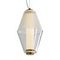 Подвесной светодиодный светильник Freya Plum FR6137PL-L6BT