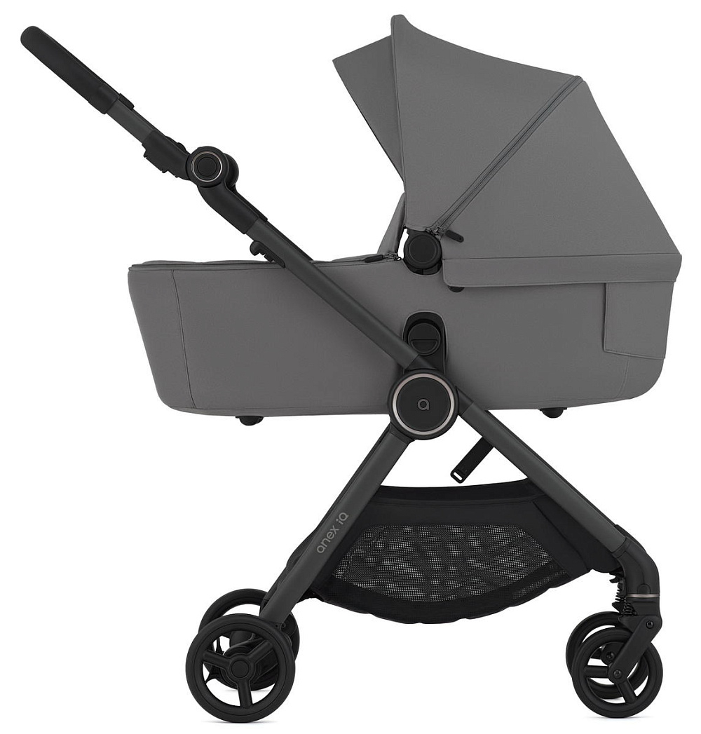 Детская коляска Anex iQ Basic NT 2 в 1 Lune