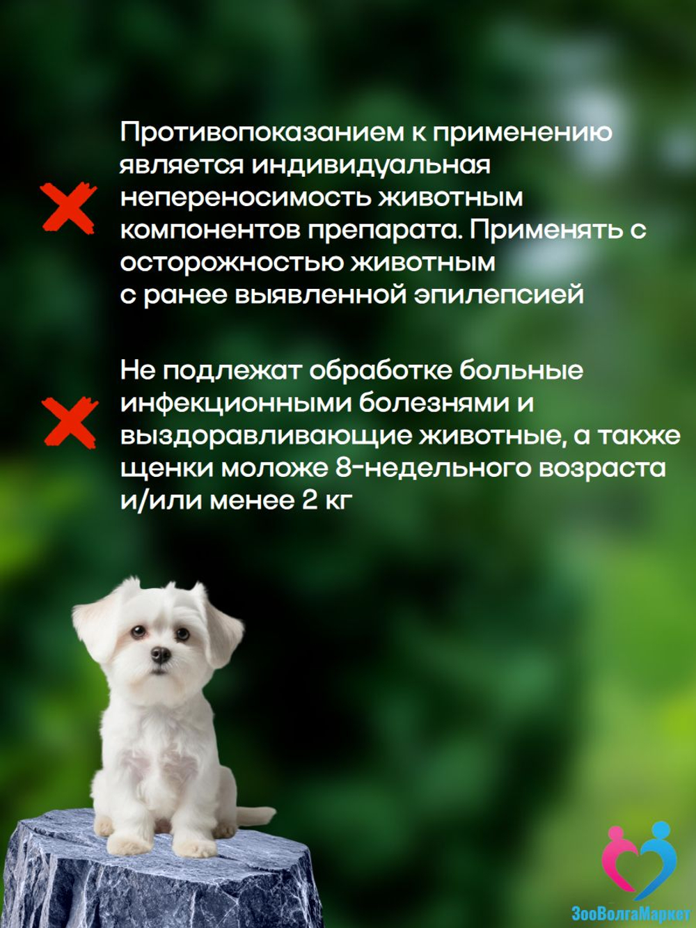 Рабектра 500 мг жевательная таблетка против блох и клещей для собак весом 10-20 кг, 1 таблетка