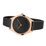 Наручные часы Bering 17031-166