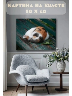 Картина на стену 40 X 50 Котик
