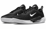 Кроссовки Nike Court Zoom Nxt Hc