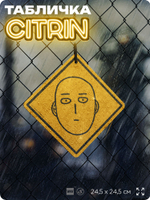 Табличка по аниме "Ванпанчмен, One Punch Man" на дверь и стену, прикольная штука в подарок анимешнику, декоративный знак, 24,5х24,5 см, пластиковая, Айдентика Технолоджи