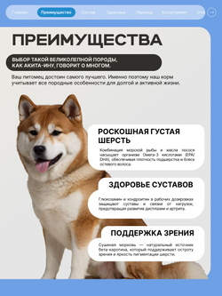 Корм для взрослых собак породы Акита-ину, с лососем, 3 кг, QUATTRO