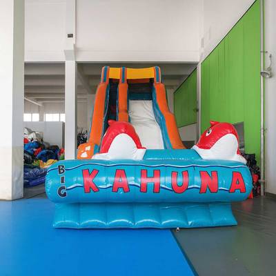 Надувная наземная водная горка «Красные рыбки», 11*4*6 м