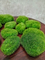 Декоративные камни из мха