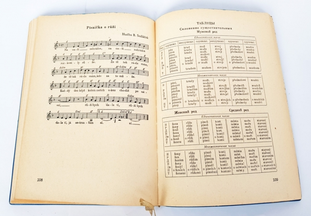 "Чешский язык. Учебник для начинающих".