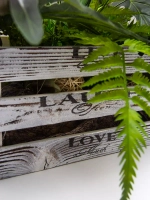 Композиция в ящике "Фаленопсис"