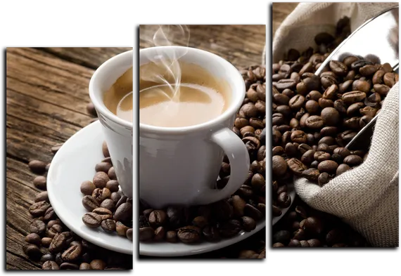 Модульная картина "Арабика"