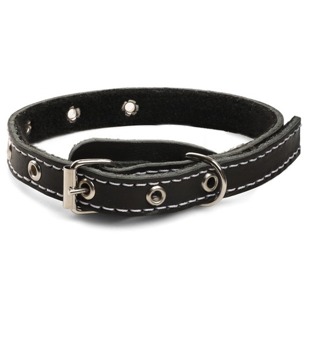 Ошейник на синтепоне универсальный кожаный, 15*410мм, Gamma