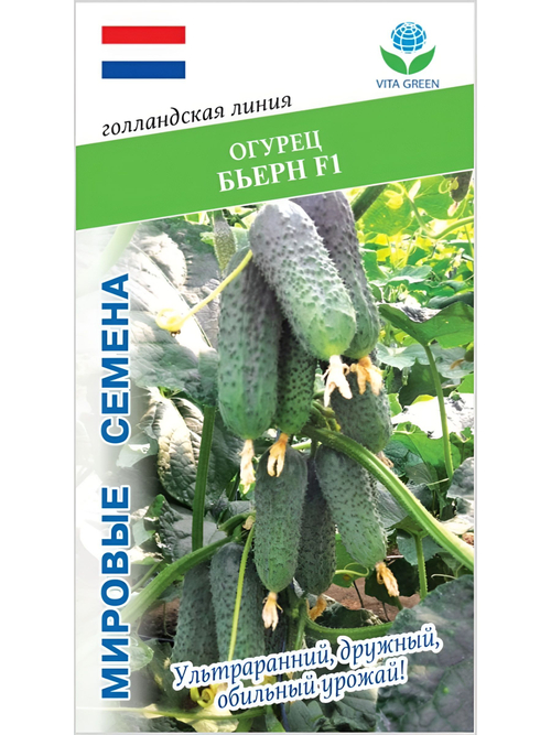 Семена огурцов Бьерн F1, 7 семян (Vita Green / Вита Грин)
