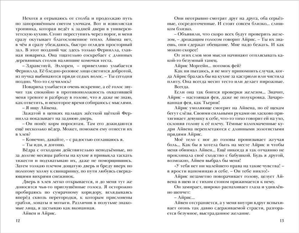 Хроники Черной Ведьмы. Книга 2. Железный цветок