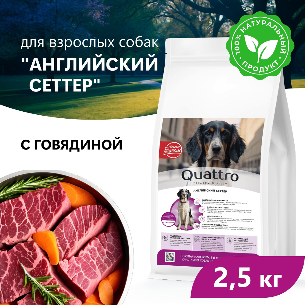 Корм сухой для взрослых собак породы Английский сеттер, премиум полнорационный комплекс, с говядиной, 2,5 кг, QUATTRO