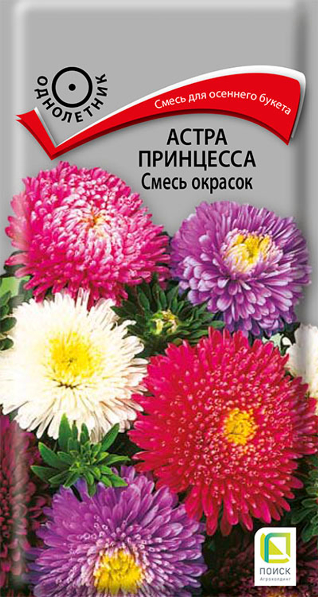 Астра принцесса Смесь окрасок