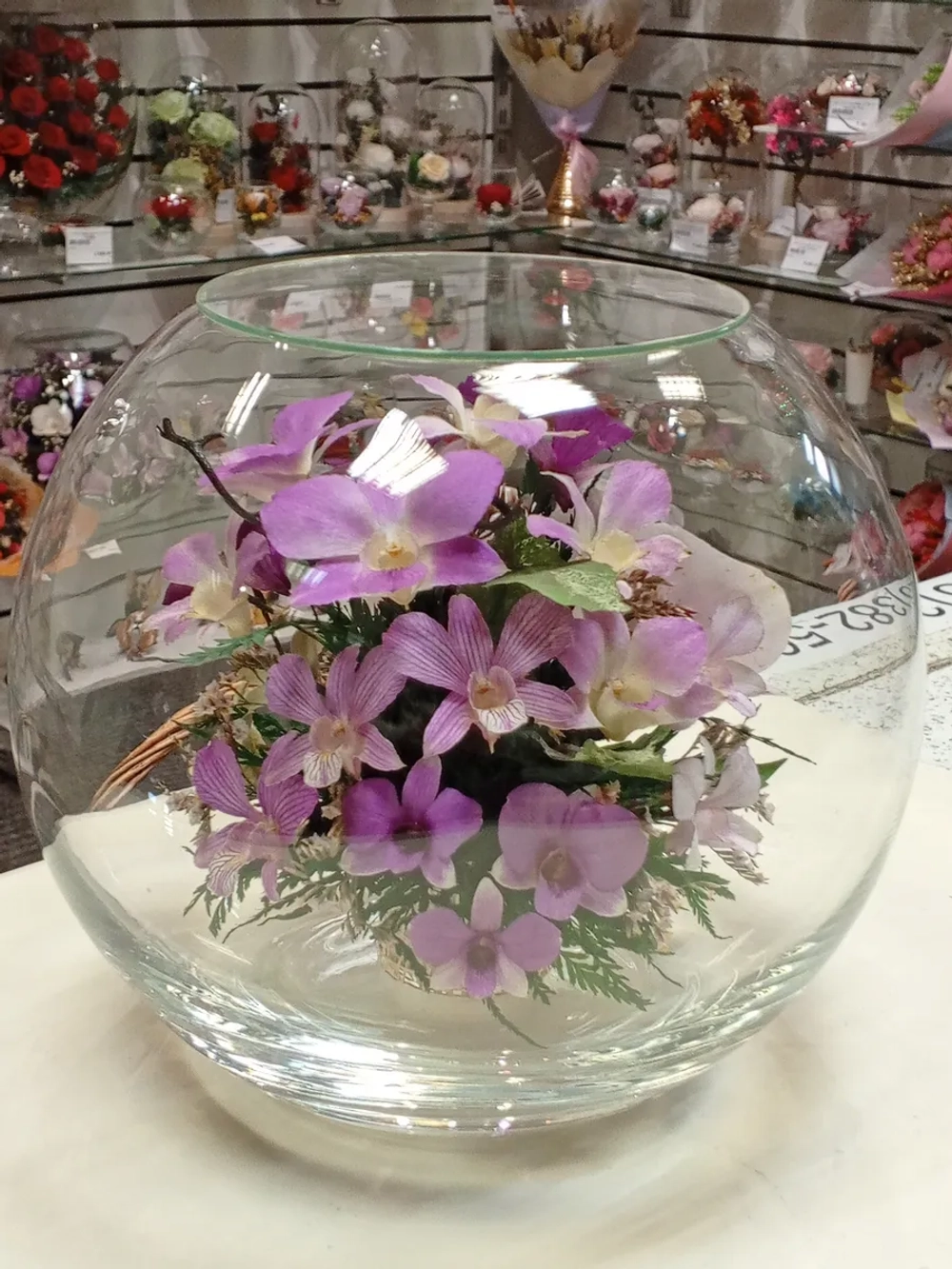 натуральные орхидеи в стекле, вакуум