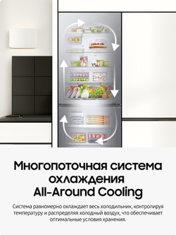 Холодильник двухкамерный Samsung RB50DG602ES9WR