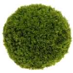 Искусственное растение шар «Самшит» туя D-30см Ultramarine