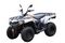 Квадроцикл LONCIN TRV350 Pro 22