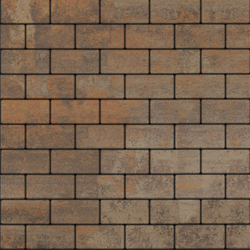 Тротуарная плитка ПРЯМОУГОЛЬНИК 200x100 мм - Листопад гладкий Клен