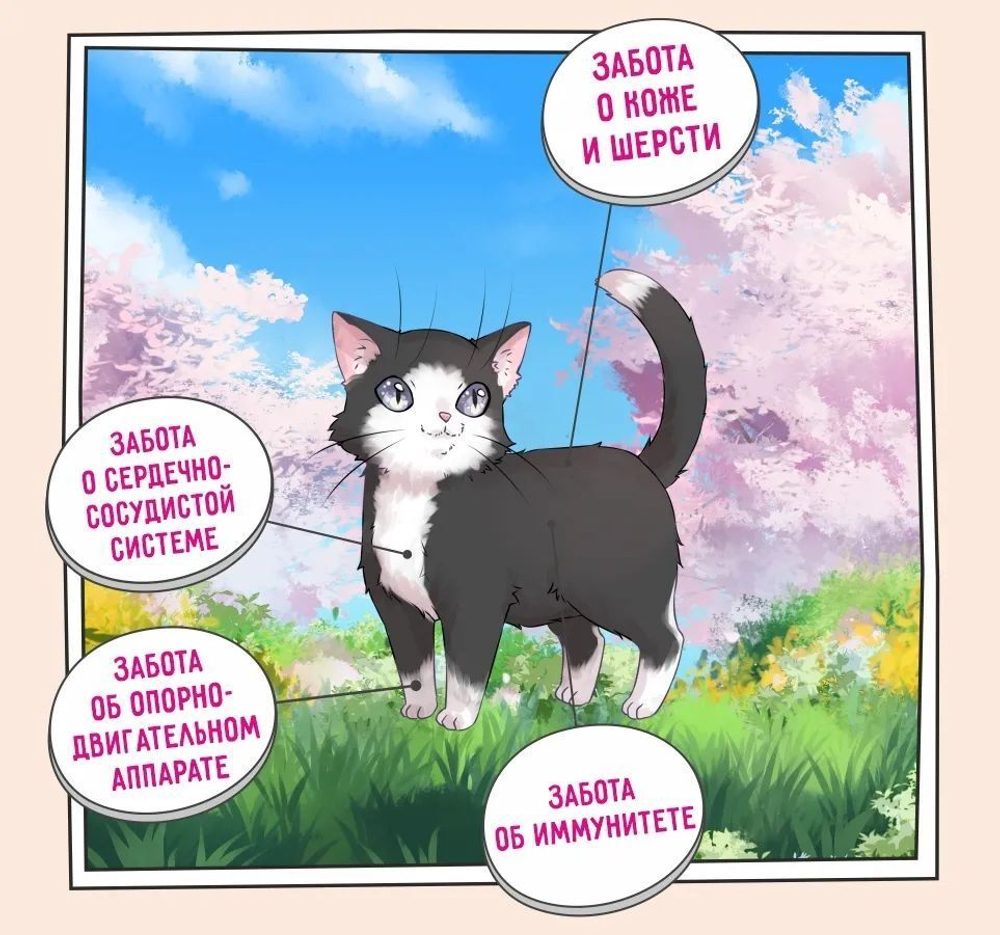 Корм для котят сухой ZILLII Kitten 2кг, с индейкой и ягнёнком