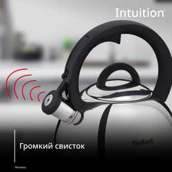 Чайник для плиты Tefal Intuition 2.5 л N4180317