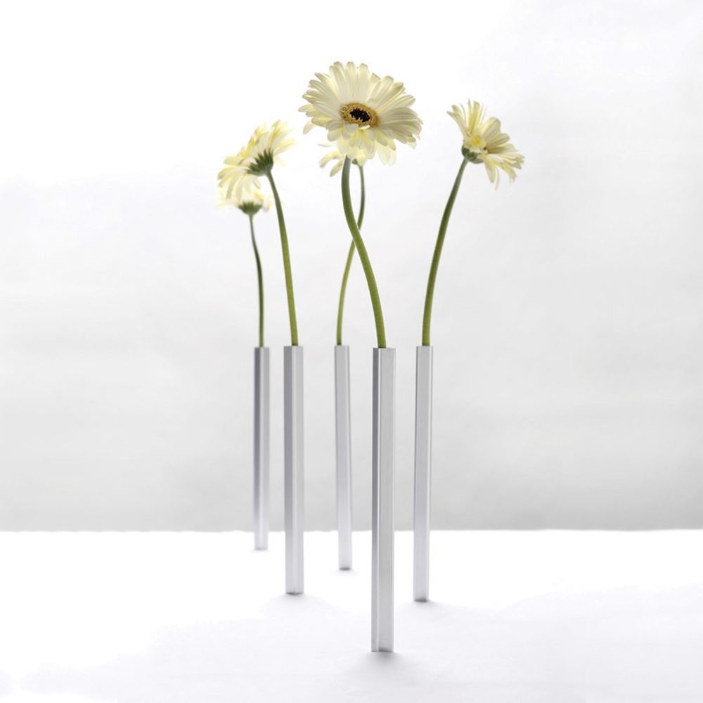 Peleg Design Набор магнитных ваз Magnetic Vase, серебристый - 5шт