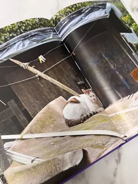 Книга Современное искусство Кореи