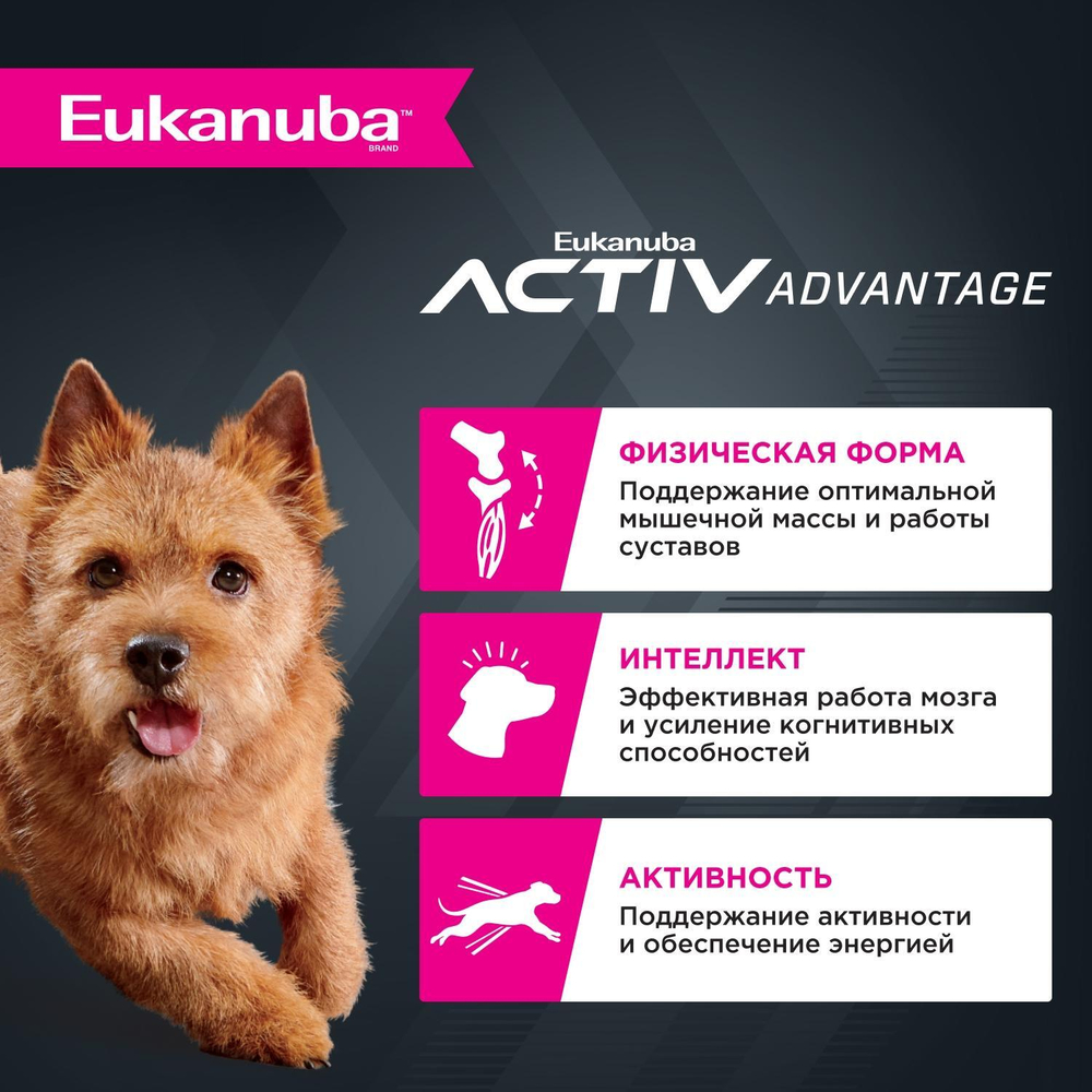 Сухой корм Eukanuba Adult Small Breed 1+ years для взрослых собак мелких пород с курицей 3 кг
