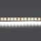 Светодиодная лента Lightstar 12W/m 120LED/m холодный белый 5M 420805