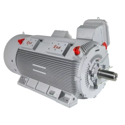 Электродвигатель ESQ M 400-SDN 6,0-315/1500-EP-C IP55 (SG) 315/1500 IM1001