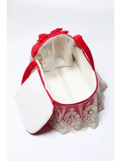 Комплект на выписку с переноской