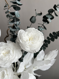 Композиция в кашпо Абион