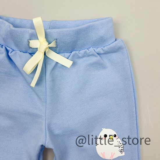 Штаны из футера "Цветные попугайчики" небесные