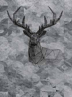 Коллекция PODLOFT