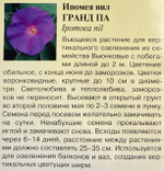 Ипомея Гранд Па 0,5 г СМЦ-515