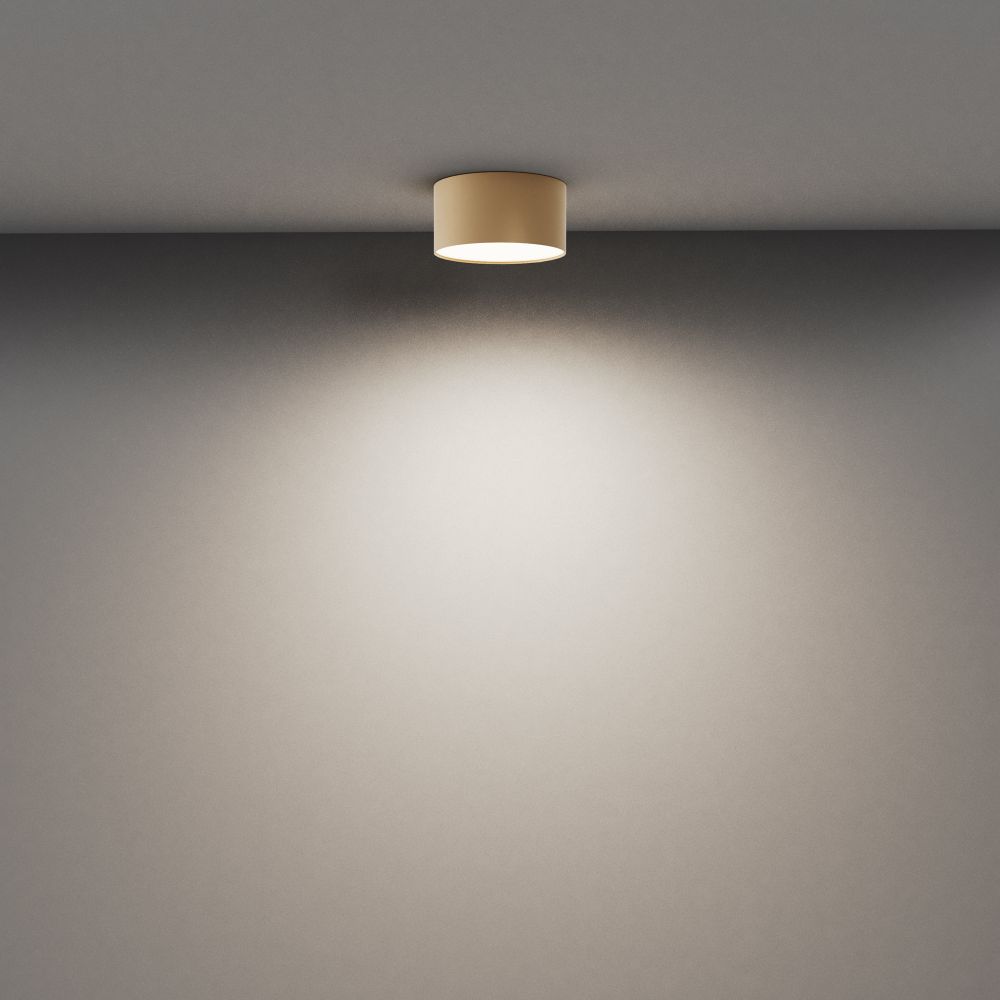 Светильник потолочный светодиодный Maytoni Zon C032CL-12W4K-RD-MG