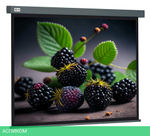 Проекционный экран Cactus CS-PSW-127X127-SG
