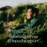 New Chapter, Perfect Calm™, мультивитамины, 144 вегетарианские таблетки