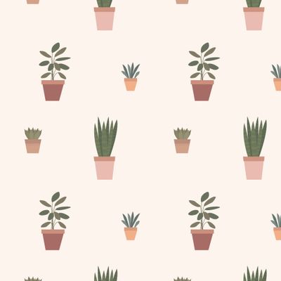 Комнатные растения. House plants, potted plants.