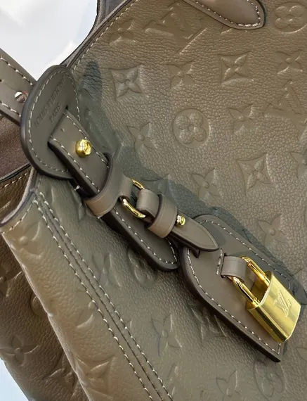 Сумка Louis Vuitton All In One PM