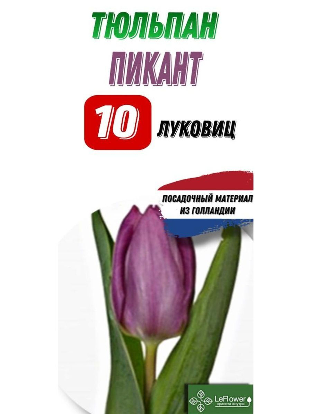 Тюльпан Луковица, Пикант, 10шт