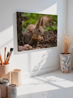 Картина на стену 40 X 50 Белка