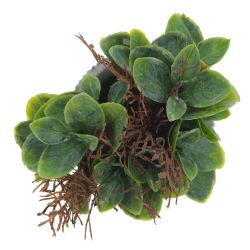 GAEM Цветочная композиция, L11 W11 H16 см