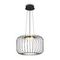 Подвесной светодиодный светильник Freya Citrus FR5398PL-L8B